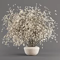 Elegant Bonsai Plant in White Vase with White Flowering Branches Against Gray Background