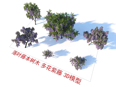 Detailed Deciduous Vine Arbor Wisteria Floribunda Realistic 3D Model with Natural Design 3d model