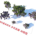 Detailed Deciduous Vine Arbor Wisteria Floribunda Realistic 3D Model with Natural Design
