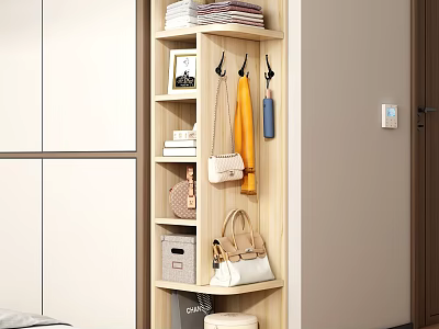 Modern Multifunctional Wardrobe Interior Design With Hanging Rack Shelves and Storage Boxes 3d model