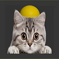 Cute Cat With Yellow Ball On Head Lying On Black Surface Big Eyes And Reflection 3d model