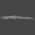 White 3D Crocodile Model With Detailed Scales And Body Structure 3d model