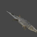 Detailed Realistic Crocodile 3D Model With Open Mouth And Textured Skin