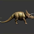 Realistic Brown Triceratops Reptile With Three Horns Frilled Neck Standing On Reflective Surface