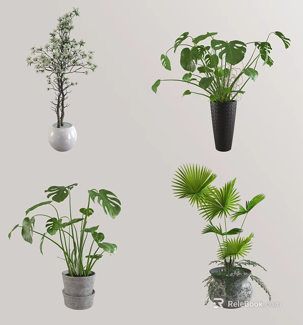 Multiple Bonsai Potted Plants with Diverse Leaf Shapes and Decorative Pots 3d model