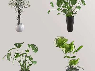 Multiple Bonsai Potted Plants with Diverse Leaf Shapes and Decorative Pots 3d model