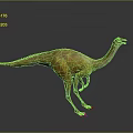 Realistic Dinosaur Figure With Yellow Green Colored Skin Long Neck Standing On Gray Gradient Background