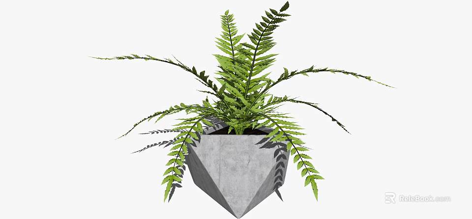 Green Fern Bonsai Potted Plant With Geometric Concrete Pot Design 3d model 