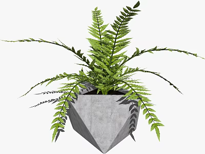 Green Fern Bonsai Potted Plant With Geometric Concrete Pot Design 3d model