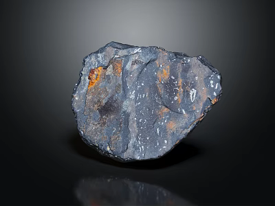 High Quality Natural Wood Stone Featuring Dark Surface Orange Accents And Polished Texture 3d model