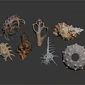 Natural Shell Decorative Ornament Set With Unique Shapes And Colorful Details