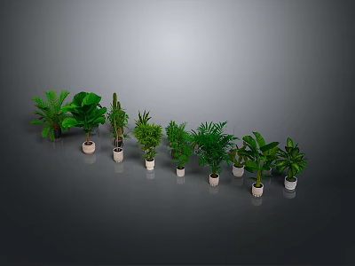 Various Types of Potted Plants Arranged On Gray Background With Lush Green Leaves 3d model