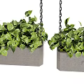 Lush Trailing Greenery In Hanging Planters For Stylish Indoor Home Decor