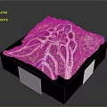 Pink And White Artistic Resin Sculpture With Intricate Hole Texture On Black Base