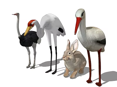 Various Reptile Species Including Lizards Turtles And Snakes In Natural Habitat 3d model