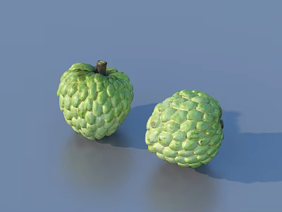Two Fresh Green Sugar Apples With Bumpy Texture On Blue Background 3d model