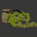 Scenic Components Of Fantasy Rock Landscape Featuring Mushroom Structures And Cave Formations
