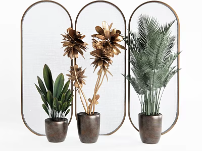 Bonsai Potted Plants With Various Leaf Types In Dark Pots And Metal Frames 3d model