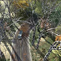 Tall Deciduous Trees Lining Winding Road with Fallen Leaves and Passing Van in Autumn Sunlight