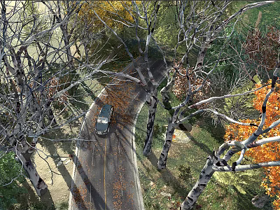 Tall Deciduous Trees Lining Winding Road with Fallen Leaves and Passing Van in Autumn Sunlight 3d model