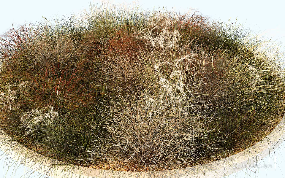 Colorful Ornamental Grasses With Green Brown And White Plumes In Circular Garden Bed 3d model 