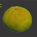 Fresh Round Yellow Greenish Textured Orange Fruit On Dark Background