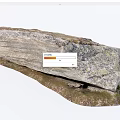 Rustic Stone Wood Slab With Natural Rough Texture And Earthy Tones