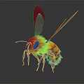 Detailed 3D rendered yellow and orange bee with transparent wings textured body and compound eyes