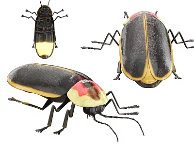 Fireflies With Black And Yellow Bodies Glowing Abdomen Viewed From Various Angles 3d model