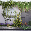 Vines Covering Wall with Hanging Green Leaves White Pink Blooms by Circular Window Mountain View