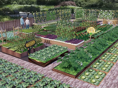 Organic Vegetable Garden Landscape With Wooden Planters Various Vegetables Signs And Fence 3d model