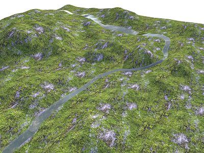 Scenic Mountainous Terrain With Lush Green Vegetation Winding River And Rocky Areas 3d model