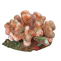 Elegant Coral Shaped Decorative Ornament Set With Pink White Design And Green Base