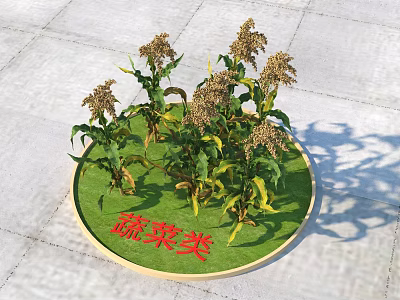 Multiple Fresh Vegetable Herb Plants On Green Circular Mat With Green Leaves And Seed Heads 3d model