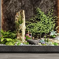 Indoor Landscape With Black Rectangular Base Various Plants Large Stone Small Pebbles And Dark Wall Background