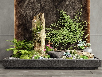 Modern Indoor Fleshy Plants Landscape Plants Piled Fleshy Cautery Potted Tree Stump Dead Wood Moss 3d model