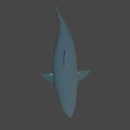 Game and Movie Character Shark 3D Model with Gray Blue Body Open Mouth and Fins