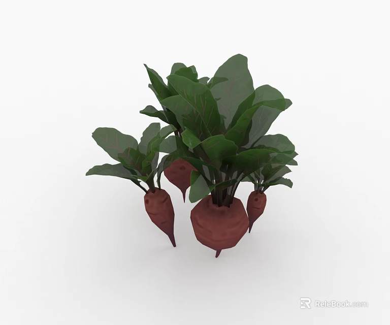 Fresh Beetroot Plants With Vibrant Green Leaves And Brown Roots 3d model 