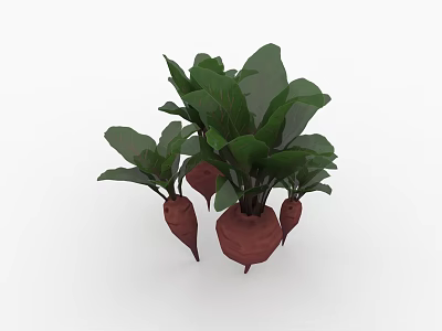 Fresh Beetroot Plants With Vibrant Green Leaves And Brown Roots 3d model