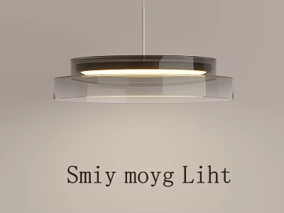 Modern Transparent Circular Ring Chandelier With Illuminated LED Light For Interior 3d model