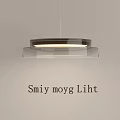 Modern Transparent Circular Ring Chandelier With Illuminated LED Light For Interior