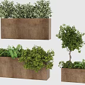 Decorative Bonsai Potted Plants in Rectangular Containers with Various Green Foliage 3d model