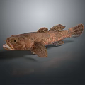 Brown spotted fish model as home decorative living accessory 3d model