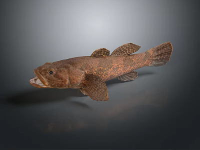Brown spotted fish model as home decorative living accessory 3d model