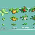 Vegetables Fruit Vegetables Cabbage Pumpkin Tomato Eggplant Cucumber 3d model