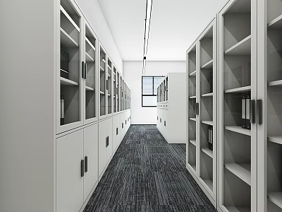 Spacious Storage Corridor Featuring White Cabinets Carpeted Floor And Window 3d model