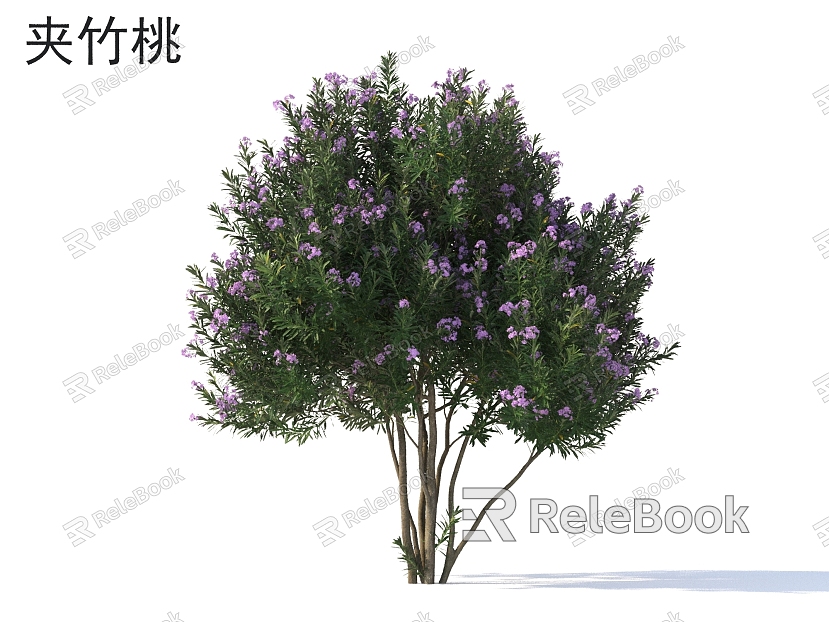 Oleander flowers grass shrubs plants model