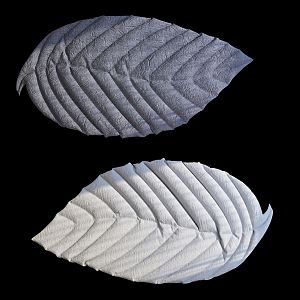 Modern Carpet Leaf Carpet 3d model