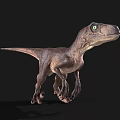 Realistic Velociraptor Dinosaur Model With Green Eyes And Brown Skin Standing On Black Background