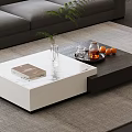 Modern Coffee Table with White and Dark Design Featuring Green Plant Book and Fruit Tray